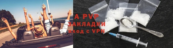 прущие крисы Арсеньев