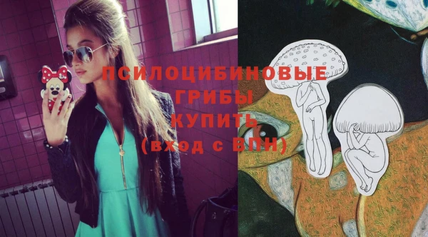 гашик Армянск