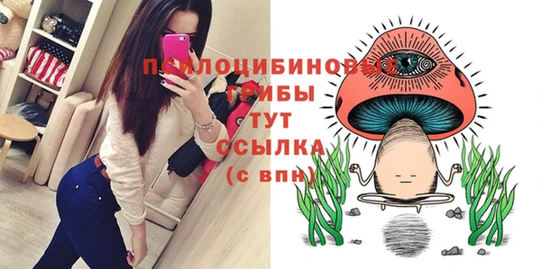 гашик Армянск