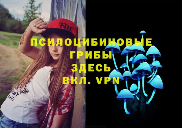 гашик Армянск