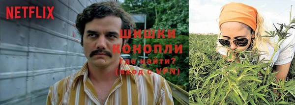 гашик Армянск