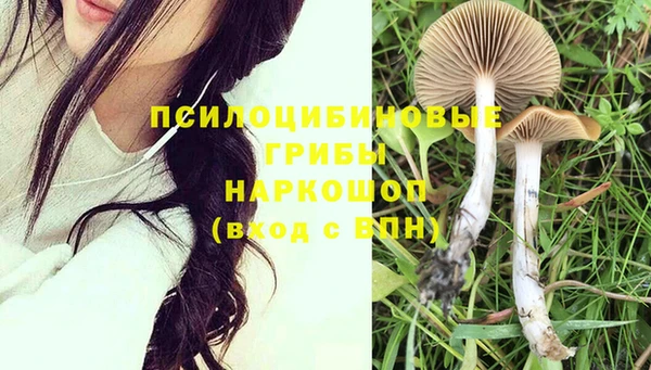 гашик Армянск